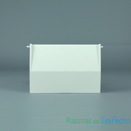 Recambio Astralpool Skimmer Compuerta, flotador y bisagra (19,2 x 13 cm)