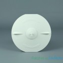 Recambio Astralpool Skimmer Tapa cesto con tapón