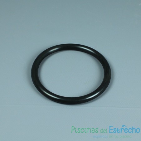 Recambio Astralpool Foco nicho Junta tórica lámpara