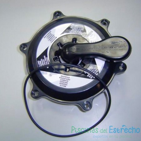 Recambio Astralpool Válvula Conjunto superior Flat 1 ½"