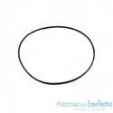 Recambio filtro Astralpool Junta tórica Cantabric