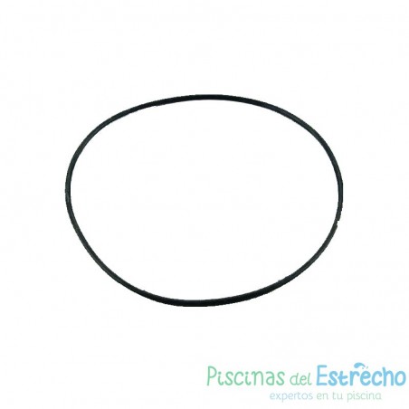 Recambio filtro Astralpool Junta tórica Cantabric