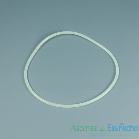 Recambio Junta tapa para filtro Astralpool