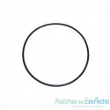 Recambio Astralpool Bomba Junta tórica D.192 x 5 mm