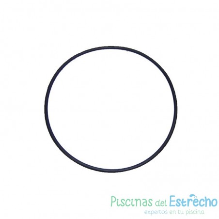 Recambio Astralpool Bomba Junta tórica D.192 x 5 mm