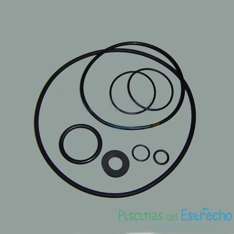 Recambio bomba Astralpool Conjunto juntas de goma Sena