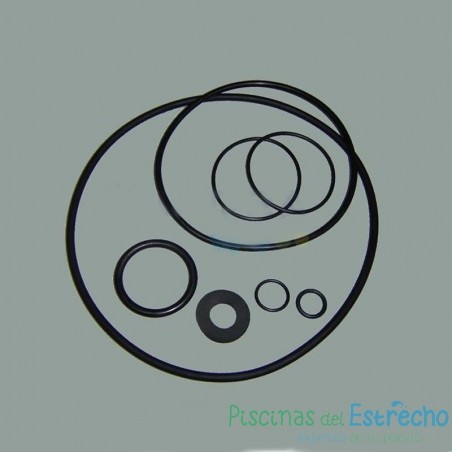 Recambio bomba Astralpool Conjunto juntas de goma Sena