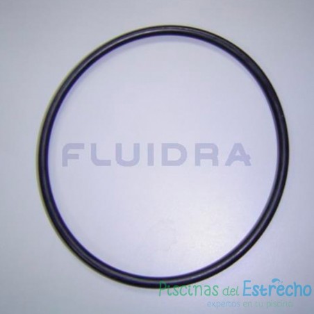Recambio bomba Astralpool Junta goma Aral 2 CV