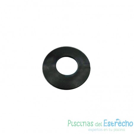 Arandela pistón 5 L 7 kg para Bombas Exactus