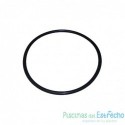 Recambio Clorimax Junta tórica 210 x 9 vitón