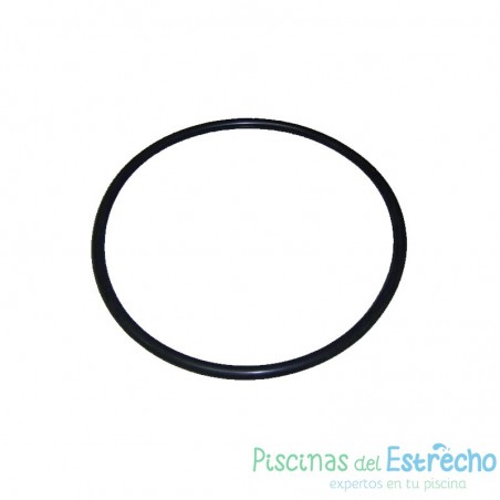 Recambio Clorimax Junta tórica 210 x 9 vitón