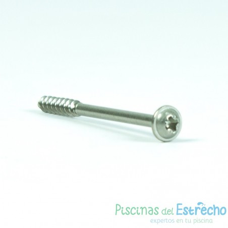 Recambio limpiafondos Zodiac Tornillo bloque motor 5 x 60 mm A2