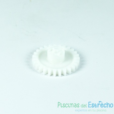 Recambio limpiafondos Zodiac Piñón de 27 dientes