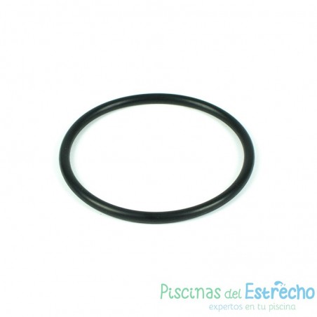 Recambio clorador Zodiac Junta tórica para electrodo