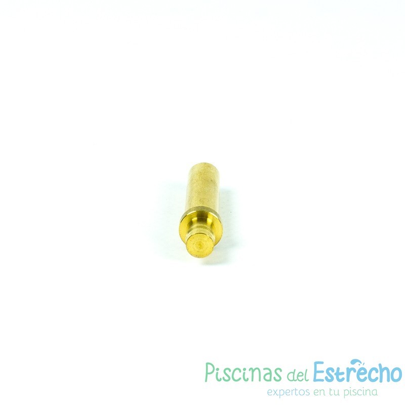 Recambio limpiafondos Zodiac Eje polea guía de oruga