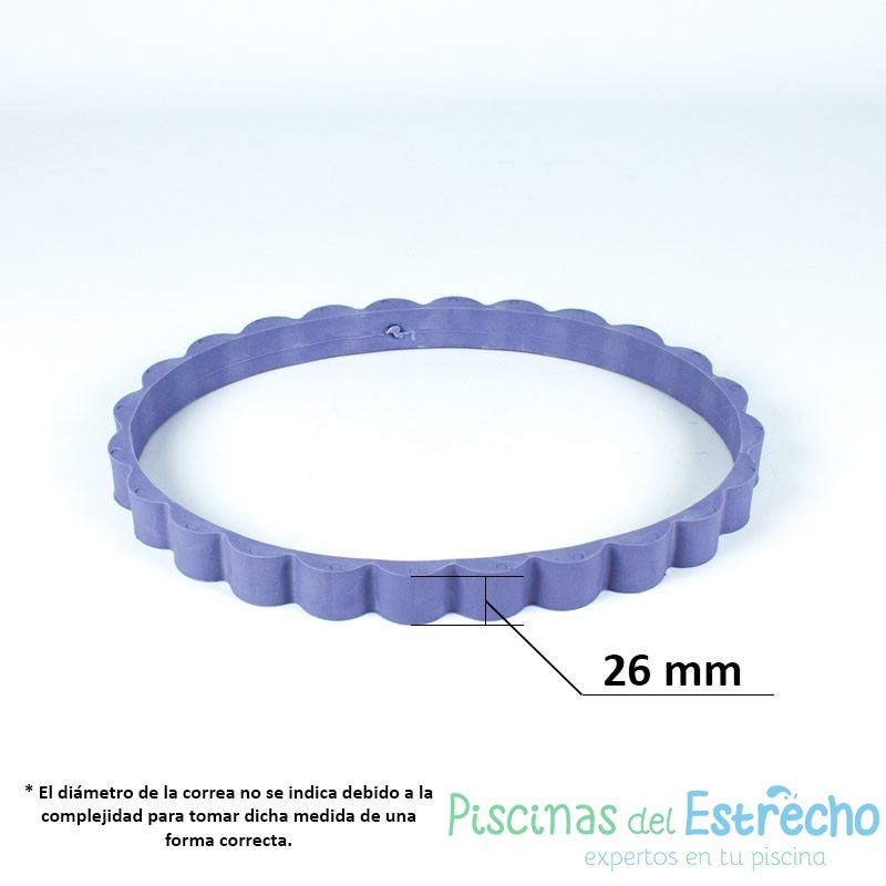 Recambio limpiafondos Zodiac Correa oruga violeta