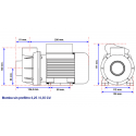 Filtro Monobloc 300 con Bomba de QP