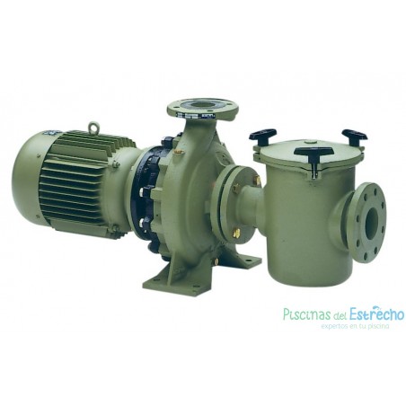 Bombas centrifugas Astralpool Aral C-1500