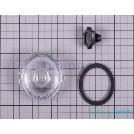 Recambio filtro Astralpool Purga Visor