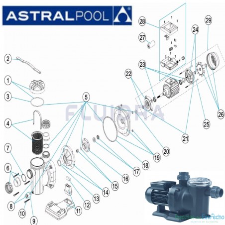 DESPIECE RECAMBIOS bomba Astralpool Sena