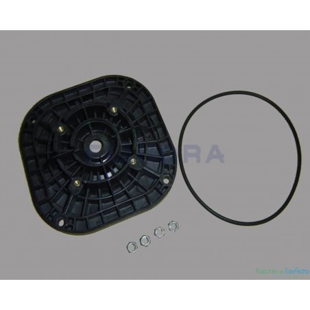 Recambio bomba Astralpool Sena Brida Motor C 63