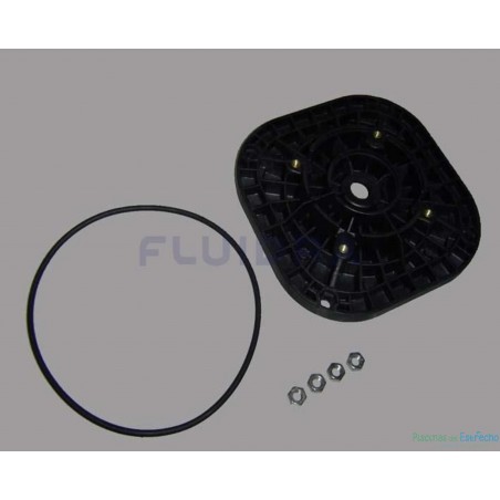 Recambio bomba Astralpool Sena Brida Motor C 71