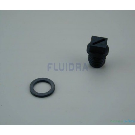Recambio Astralpool Válvula selectora Tapón 1/4"