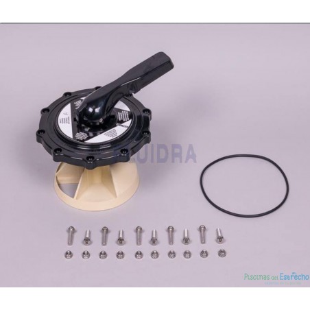 Recambio Astralpool Válvula selectora tornillos 2" Conjunto Superior