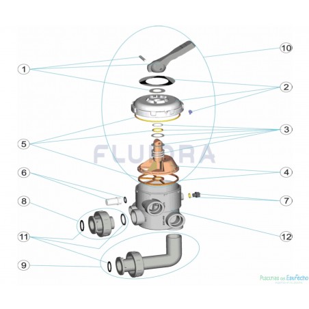 Despiece Recambios Astralpool Válvula selectora bayoneta (20569)