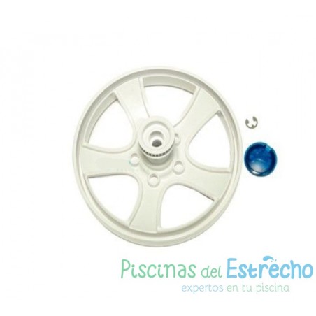 Recambio limpiafondos Zodiac Rueda