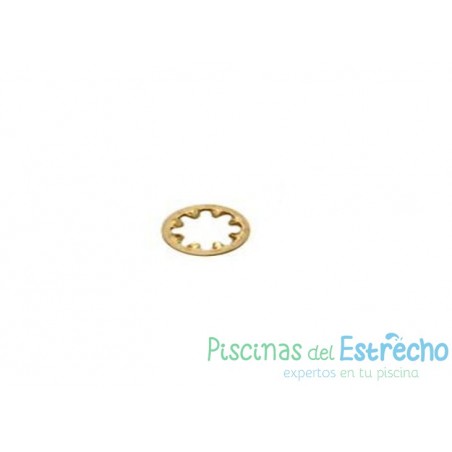 Recambio limpiafondos Zodiac Arandela bloque eje