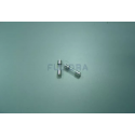 Recambio Fusible 1A Astralpool Smart Next