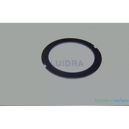 Recambio clorador Astralpool Junta plana electrodo