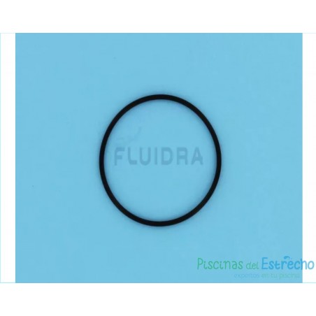 Recambio clorador Zodiac Junta tórica de estanqueidad (Pack 2 Uds.)