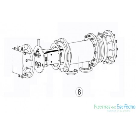 Recambio Célula Porta Electrodos D-65/80EX/+