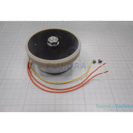 Recambio Electroimán 2 L 5 Kg