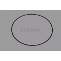 Junta tórica tapa tornillos filtro Star Plus