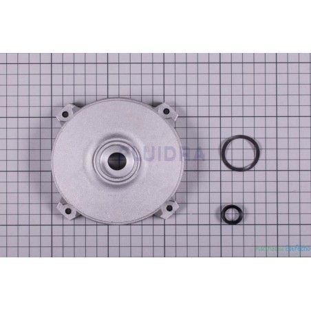 Recambio bomba Astralpool Victoria Plus Silent Tapa Motor
