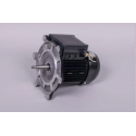 Recambio bomba Astralpool Motor Victoria Plus Silent