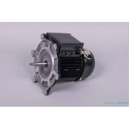 Recambio bomba Astralpool Motor Victoria Plus Silent