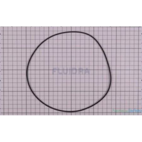 Recambio bomba Astralpool Junta Brida Motor