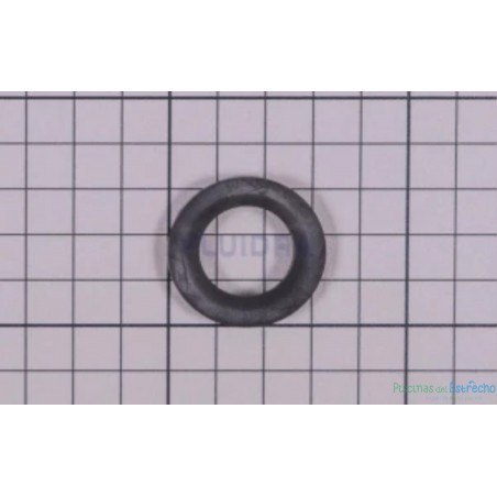 Recambio bomba Astralpool Arandela Deflectora Motor C 80
