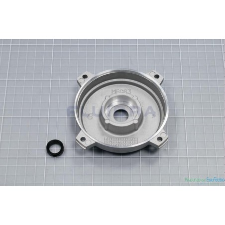 Recambio bomba Astralpool Victoria Plus Tapa Trasera Motor