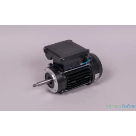 Recambio bomba Astralpool Victoria Plus Motor