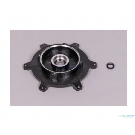 Recambio bomba Astralpool Verdon Brida Motor Delantera