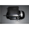Recambio bomba Astralpool Verdon Motor