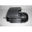 Recambio bomba Astralpool Verdon Motor