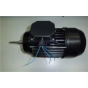 Recambio bomba Astralpool Verdon Motor