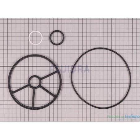 Recambio Astralpool Juntas Válvula Selectora 1 ½"