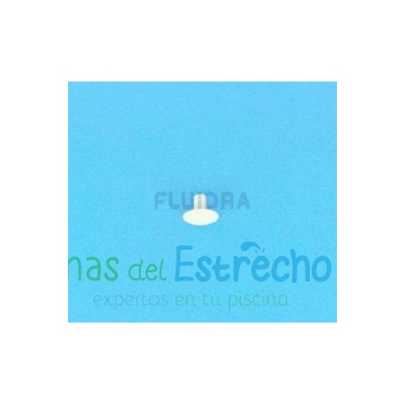 Recambio limpiafondos Zodiac Tornillo de plástico para rueda